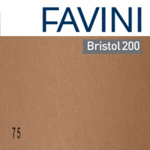 Cartoncino Bristol Color – 50 x70 cm – 200 gr – marrone 75 – Favini – conf. 25 pezzi