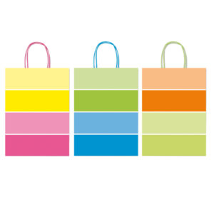 Shopper bicolor – con manici – carta ritorta – 16 x 8 x 21 cm – colori assortiti – Rex Sadoch