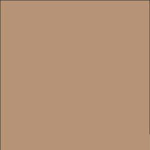 Cartine antigrasso per alimenti – 33 x 32,5 cm – avana – Leone – conf. 500 pezzi